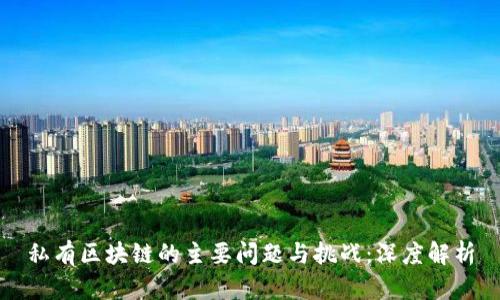 私有区块链的主要问题与挑战：深度解析