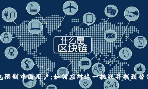 TP钱包限制中国用户：如何应对这一挑战并找到替代方案