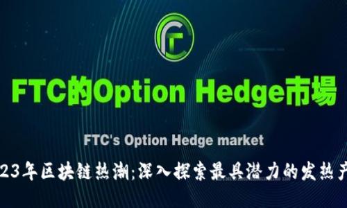 2023年区块链热潮：深入探索最具潜力的发热产物