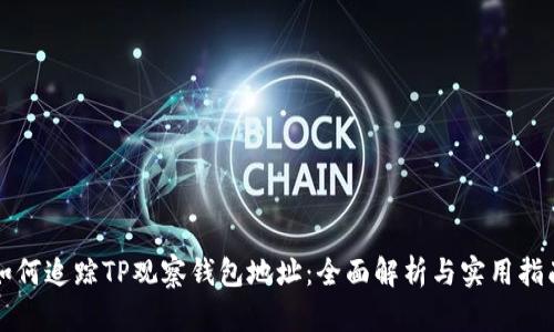 如何追踪TP观察钱包地址：全面解析与实用指南