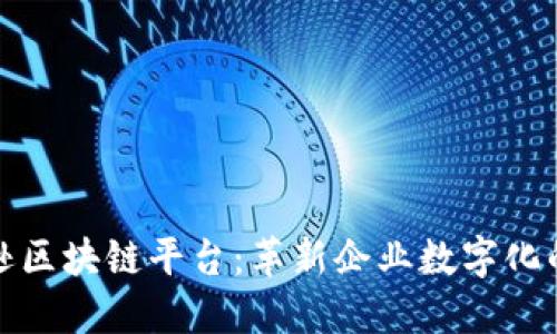 探索亚马逊区块链平台：革新企业数字化的必备工具
