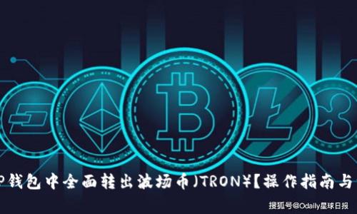 如何在TP钱包中全面转出波场币（TRON）？操作指南与注意事项