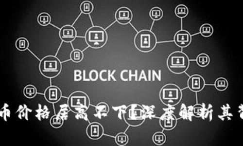 为什么TP钱包的币价格居高不下？深度解析其背后的价值与潜力