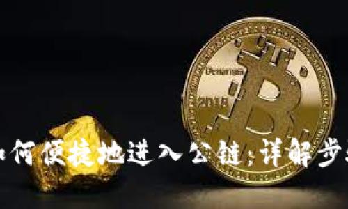 TP钱包如何便捷地进入公链：详解步骤与方法