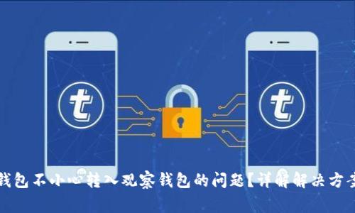 如何修复TP钱包不小心转入观察钱包的问题？详解解决方案与注意事项