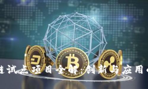 美国区块链试点项目全解：创新与应用的前沿探索