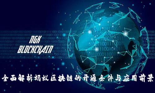 全面解析蚂蚁区块链的开通条件与应用前景