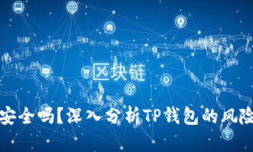 TP钱包安全吗？深入分析TP钱包的风险与收益