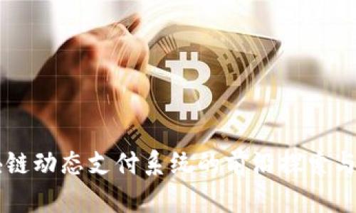 区块链动态支付系统的前沿探索与应用