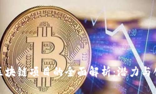 海南澄迈区块链项目的全面解析：潜力与创新的结合
