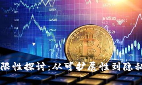 区块链技术的局限性探讨：从可扩展性到隐私保护的全景分析