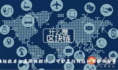 区块链技术的局限性探讨：从可扩展性到隐私保护的全景分析